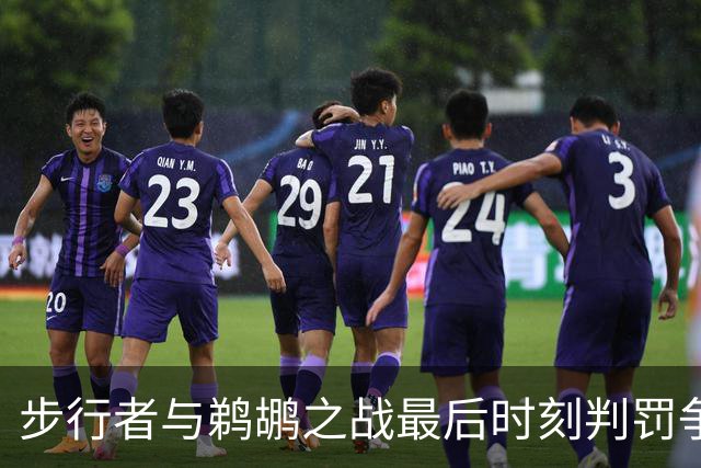 步行者与鹈鹕之战最后时刻判罚争议回顾