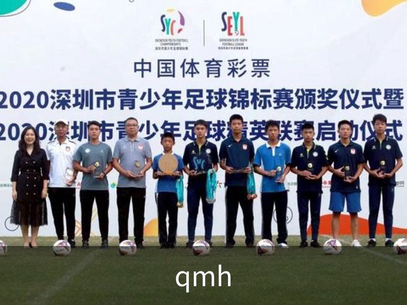 关于qmh